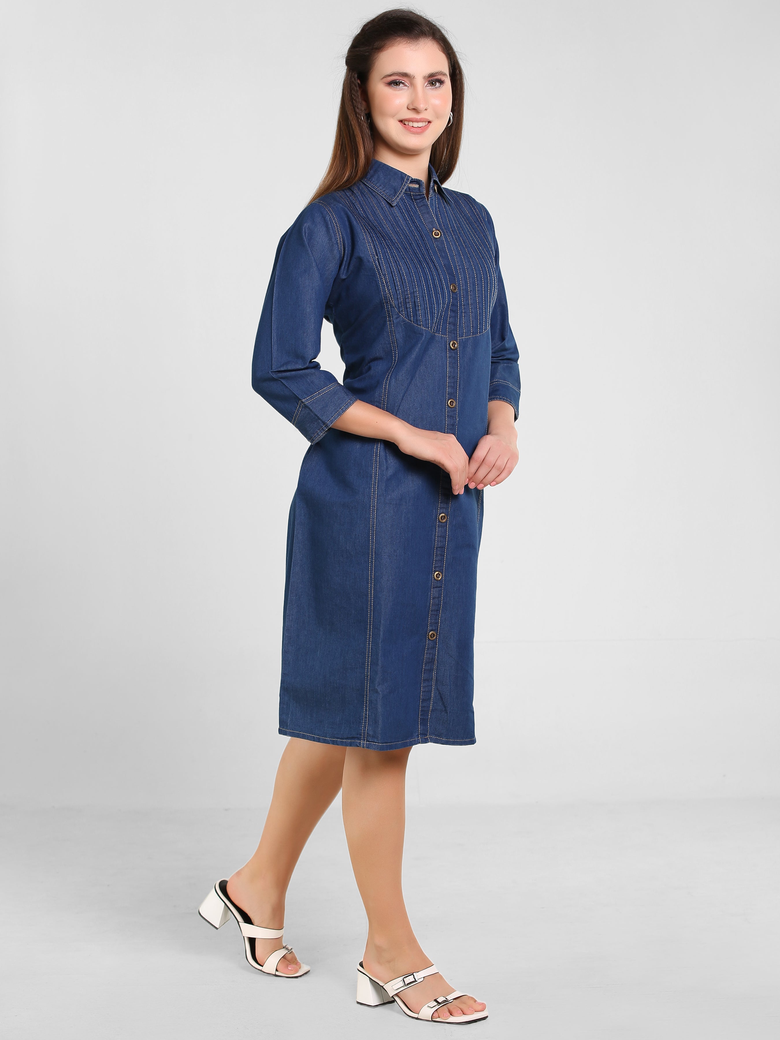 Denim Pintux Fawn stiches Shirt Collar Dress