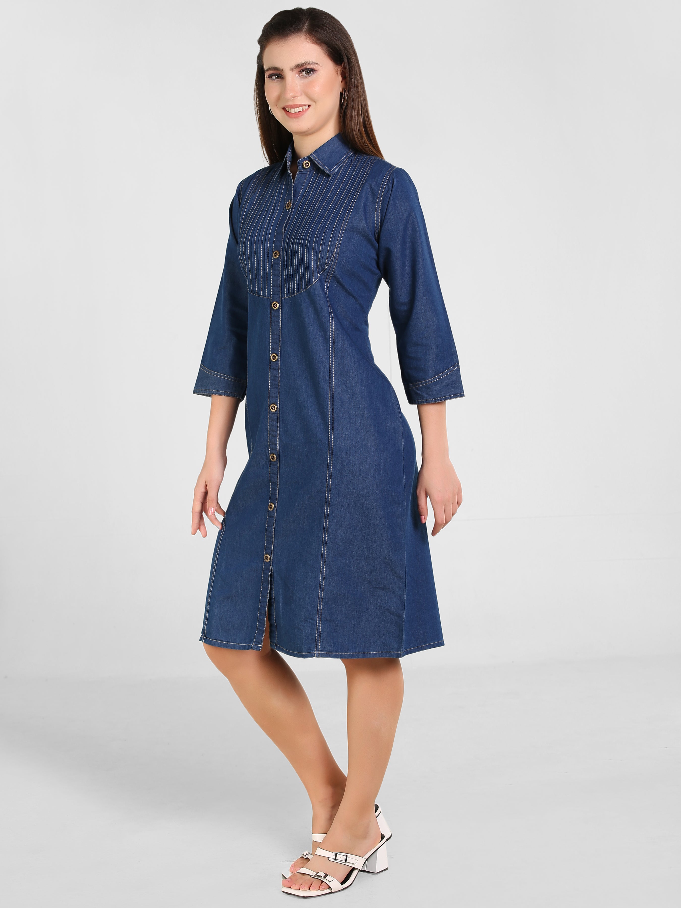 Denim Pintux Fawn stiches Shirt Collar Dress