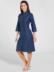 Denim Pintux Fawn stiches Shirt Collar Dress
