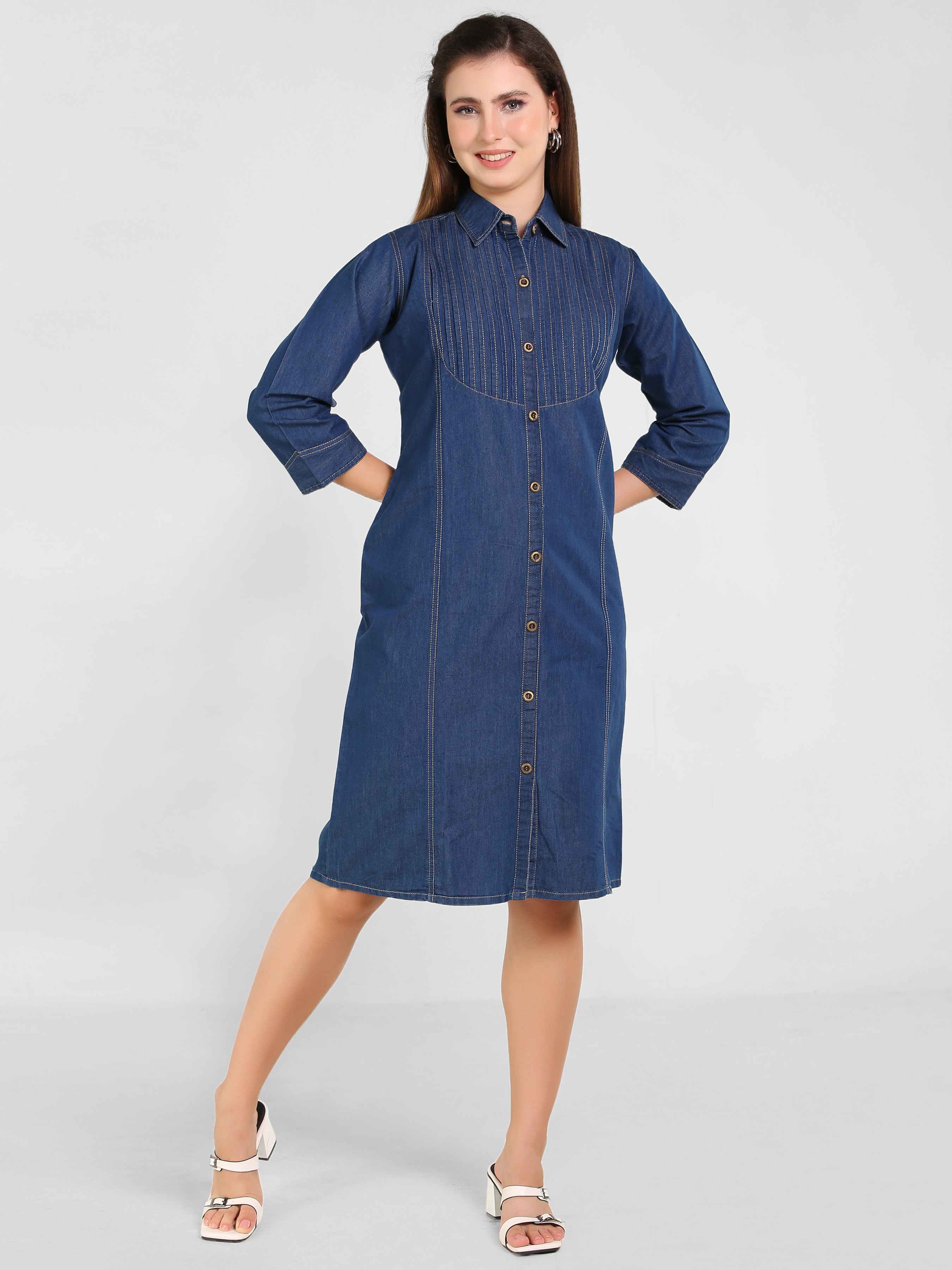 Denim Pintux Fawn stiches Shirt Collar Dress